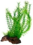 Hobby Aquariumdekoration Flora Root 3 L: 30 cm