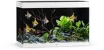 Juwel Rio 290 LED Aquarium Wei&szlig;