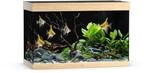 Juwel Rio 290 LED Aquarium Helles Holz