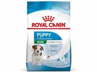 Royal Canin 2806, ROYAL CANIN MINI Puppy Trockenfutter für Welpen kleiner