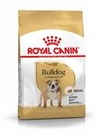 ROYAL CANIN Bulldog Adult Hundefutter trocken 12kg