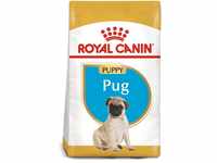 ROYAL CANIN Pug Puppy Welpenfutter trocken für Mops 2x1,5kg