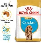 ROYAL CANIN Cocker Puppy Welpenfutter trocken 3kg