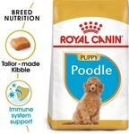 ROYAL CANIN Poodle Puppy Welpenfutter trocken f&uuml;r Pudel 3kg