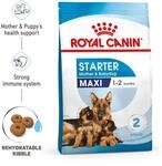 ROYAL CANIN MAXI Starter f&uuml;r tragende H&uuml;ndin und Welpen gro&szlig;er Rassen 15kg