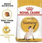 ROYAL CANIN Siamese Adult Katzenfutter trocken 10kg