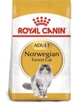 ROYAL CANIN Norwegian Forest Cat Adult Trockenfutter für Norwegische Waldkatzen 10kg ROYAL CANIN Norwegian Forest Cat Adult Trockenfutter für Norwegische Waldkatzen 10kg