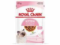 ROYAL CANIN KITTEN Nassfutter in Soße für Kätzchen 12x85g