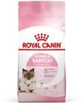 ROYAL CANIN MOTHER und BABYCAT Katzenfutter f&uuml;r tragende Katzen und Kitten 4kg