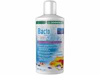 Dennerle Klarwasser-Filterbakterien Bacto Elixier FB7 500ml