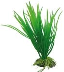 Hobby Aquariumdekoration Cyperus 16 cm