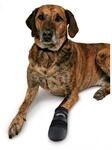 Trixie Pfotenschutz Walker Care M