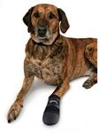 Trixie Pfotenschutz Walker Care L
