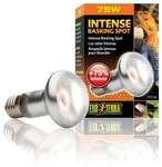 Exo Terra Intense Basking Spot 75