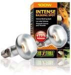 Exo Terra Intense Basking Spot 100