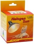 Lucky Reptile Halogen Sun E27 100W