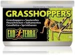 Exo Terra Reptilienfutter Heuschrecken 34g