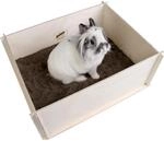 bunny Interactive Buddelkiste