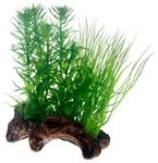 Hobby Aquariumdekoration Flora Root 2 S: 17 cm
