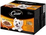 Cesar Feines im Frischebeutel Favoriten in Sauce 24x100g