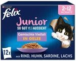 FELIX So gut wie es aussieht in Gelee Junior gemischte Vielfalt 12x85g