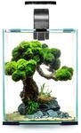 Aquael Shrimp Set Tag und Nacht schwarz 10 Liter, 20 x 20 x 25 cm