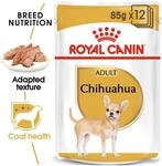 ROYAL CANIN Chihuahua Adult Hundefutter nass 12x85g