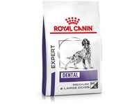 ROYAL CANIN® Expert DENTAL MEDIUM & LARGE DOGS Trockenfutter für Hunde 13kg