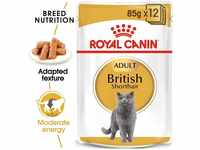 ROYAL CANIN British Shorthair Adult Katzenfutter nass für Britisch Kurzhaar 12x85g