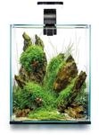 Aquael Shrimp Set Tag und Nacht schwarz 20 Liter, 25 x 25 x 30 cm