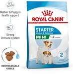 ROYAL CANIN MINI Starter Trockenfutter f&uuml;r tragende H&uuml;ndinnen und Welpen...