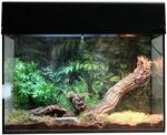 Lucky Reptile Terrarium Starter Kit 50 cm "Spinne + Skorpion" schwarz