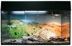 Lucky Reptile Terrarium Starter Kit 80 cm "Leopardgecko" schwarz