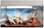 Lucky Reptile Terrarium Starter Kit 80 cm "Leopardgecko" wei&szlig;