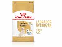 ROYAL CANIN Labrador Retriever Adult 5+ Trockenfutter für Hunde ab 5 Jahren 12kg