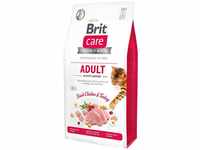 Brit Care 171297, Brit Care GF Adult Activity Support 7kg, Grundpreis: &euro; 5,93 /