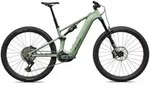 Specialized Levo R Expert Pistachio/Dark Moss Green 2026 S4