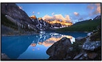 Dell UltraSharp 60,5 cm (23,8 ") LCD Monitor U2424H 1282781