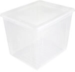 keeeper bea Kunststoff Aufbewahrungsbox 30 L Transparent 33,5 x 39 x 32 cm 1222106