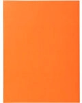 Exacompta Super Aktendeckel DIN A4 Orange Pappkarton 160 g/m&sup2; 500 St&uuml;ck 1038253