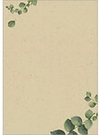 Sigel Eucalyptus Briefpapier Braun 100 Blatt 1193399