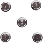 Maul Magnete Hellsilber Tragf&auml;higkeit 12 mm 5 St&uuml;ck 1190646
