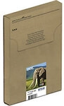 Epson 24XL Original Tintenpatrone C13T24384510 Schwarz, Cyan, Hellcyan, Magenta,