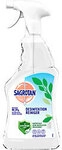 Sagrotan Desinfektionsmittel-Reinigungsspray 500ml 1157241