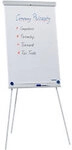 FRANKEN X-tra!Line Magnetisches Flipchart EL-FC20 H&ouml;henverstellbar 68 x 105 cm Mit