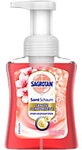 Sagrotan Handseife Fl&uuml;ssig Rote Fr&uuml;chte 250 ml 1291440