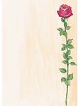 Sigel Designpapier Rosenbl&uuml;te DIN A4 90 g/m&sup2; Farbig sortiert 25 Blatt DP695