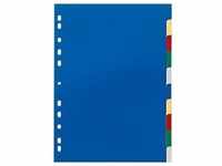 DURABLE Blanko Register DIN A4 Farbig Sortiert Mehrfarbig 10-teilig PP (Polypropylen)
