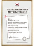 walther design DIN A4 Bilderrahmen Gold Kunststoff KG130H 22,1 (B) x 1,9 (T) x 30,8