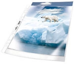 DURABLE Premium Prospekth&uuml;lle DIN A4 Genarbt Transparent 80 Mikron PP (Polypropylen)